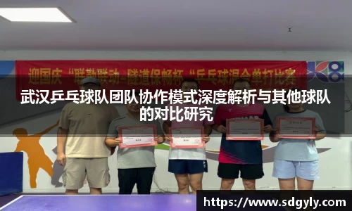 武汉乒乓球队团队协作模式深度解析与其他球队的对比研究
